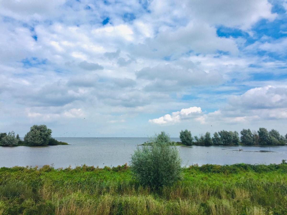 Ferienhaus Max Am Wasser Ferienpark Vislust 韦尔弗斯霍夫 外观 照片